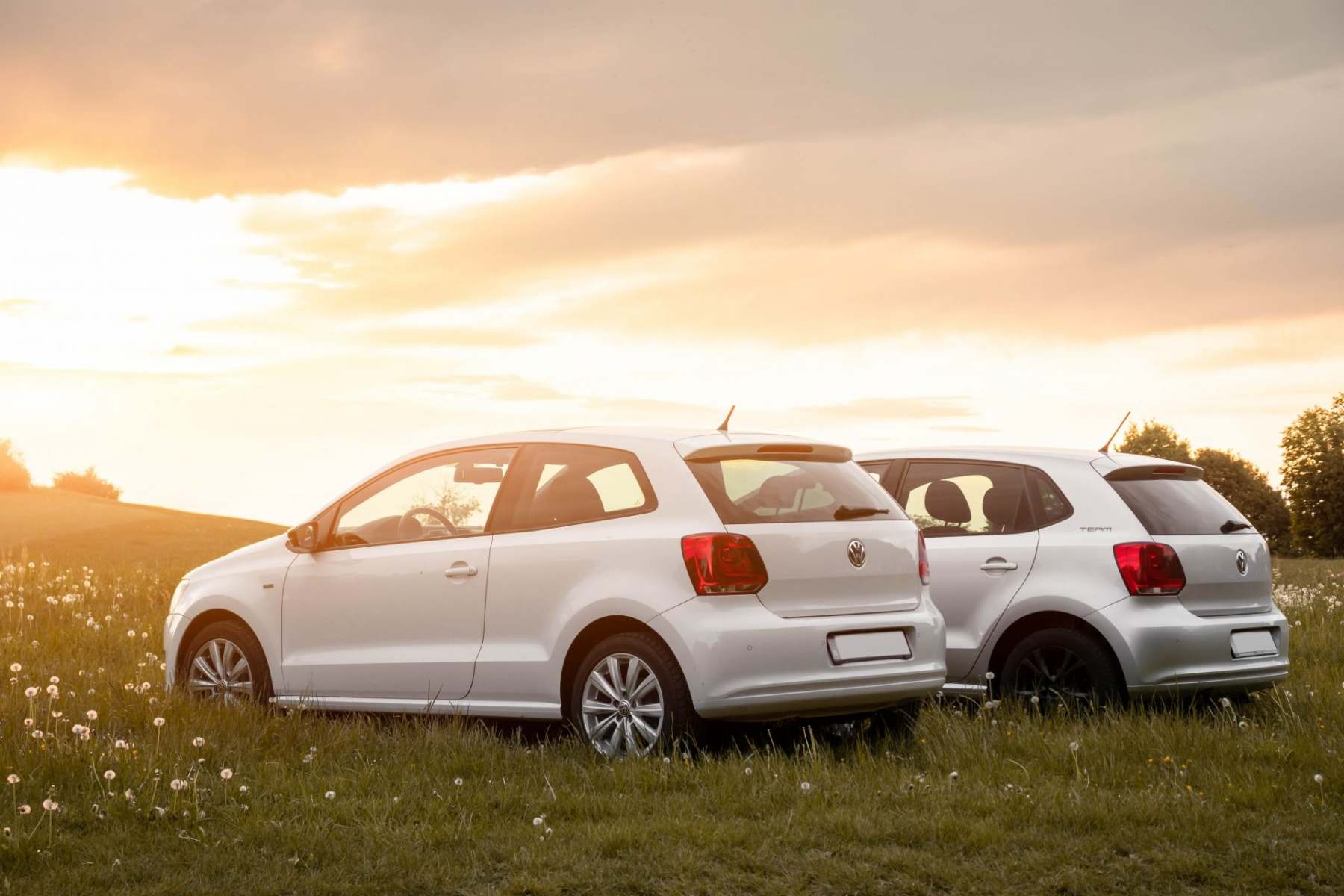 Volkswagen Specialists Volkswagen Specialists